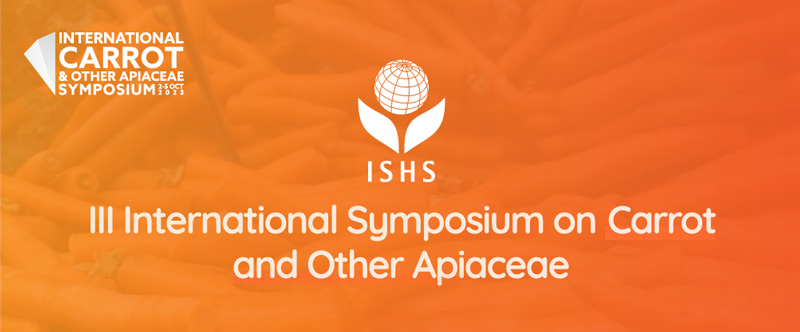 Logo: Third International Symposium on Carrot and other Apiaceae from 2nd to 5th October 2023 in York, UK