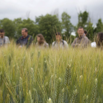 IPM in Arable Cropping Systems